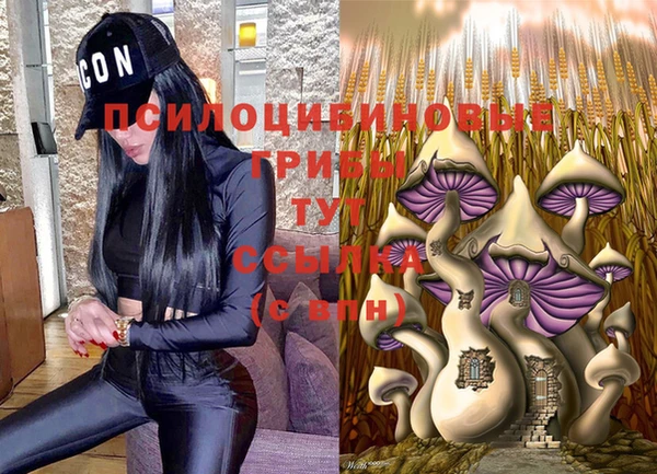 прущие грибы Алексин