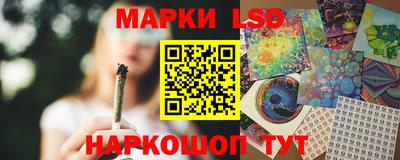 твердый Кингисепп