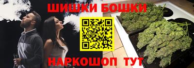 шишки Краснознаменск