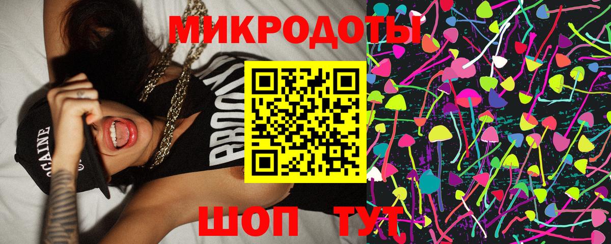 Елабуга  Галлюциногенные грибы Psilocybine cubensis  Вход с VPN 